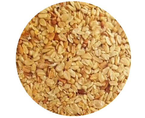 玉米胚芽制油預(yù)處理加工